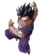 Son Gohan-kun