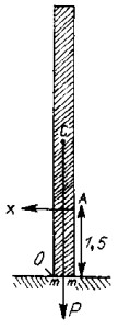 imagen027.jpg