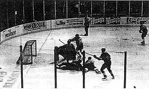 Sharks vs. Wolves