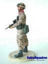 Desert Rat View 2