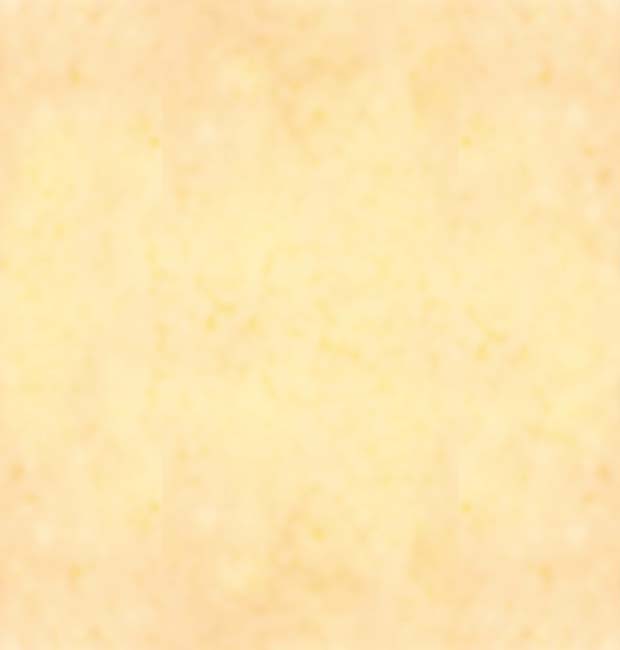 Index of /sacravirginitas/antecedentes