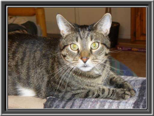 THIS IS "LOU" ...&nbsp; CLICK TO ENLARGE!