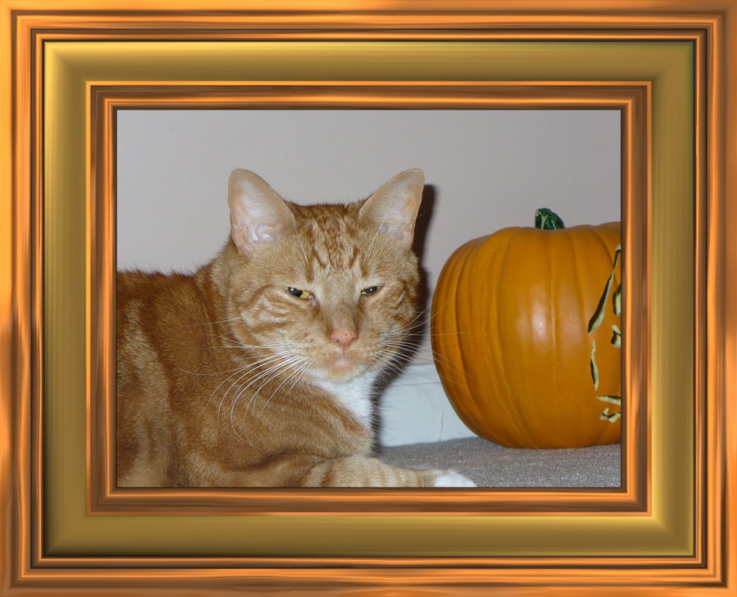 THIS IS "MAX" ...&nbsp; CLICK TO ENLARGE!