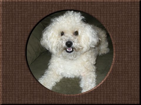 THIS IS "THOR" ...&nbsp; CLICK TO ENLARGE!