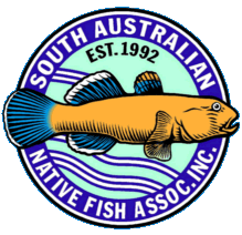 South Australian Fish Keeper - index page