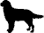 Animation