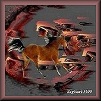 Horse Through The Fire