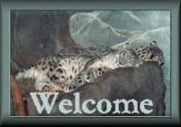 Welcome Banner