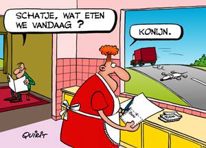 Konyn vir ete