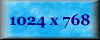 1024 x 768