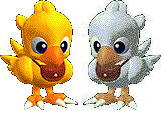 These to chocobos are  so close they hate to be split up.