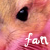 gerbils