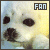 seals