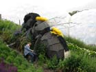 070_giantbee