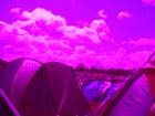 004-purple-tents