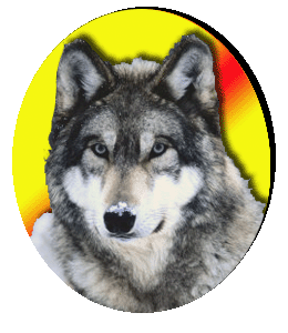 Cabeza de Lobo representacin de la Unidad Manada