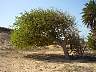 DSC04064.JPG