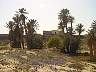 DSC04068.JPG