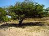 ribeiras10.JPG