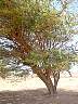 DSC05000.JPG