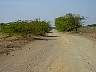 DSC05093.JPG