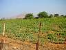 DSC05110.JPG