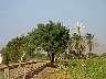 DSC05114.JPG