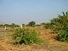 DSC051363.JPG