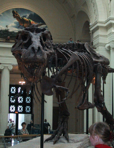 Chicago Trip Pictures - Sue says Hi!