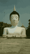 puka5.gif (4041 bytes)