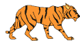 tiger.gif (21810 bytes)