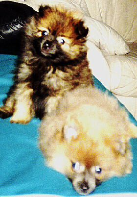 With brother Tuffy