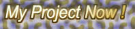 My Project Now !