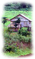 on the road to Ratanakiri Province Cambodia
