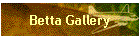 Betta Gallery