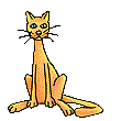 [Yawning Cat]