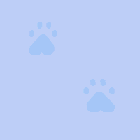 [Pawz16]