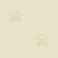 [Pawz19]