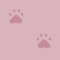 [Pawz20]