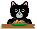 [Beware of Cat]
