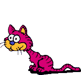 [Cat from CatStuff]