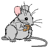 [A Nony Mouse]