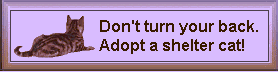 [Save a precious cat today! Adopt from your local shelter!]