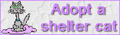 [Save a Life! Adopt an Older Cat!]