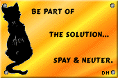 [PLEASE! Have all your pets spayed or neutered!]