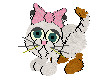 whitemew.gif (2900 bytes)