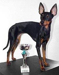 Peppi - perhabs, but I got the finest Cup - HA