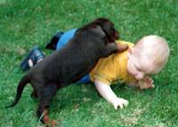 Child and Puppy