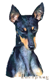 Dempsey