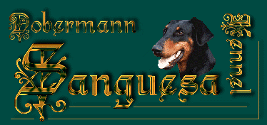 header-dobermann